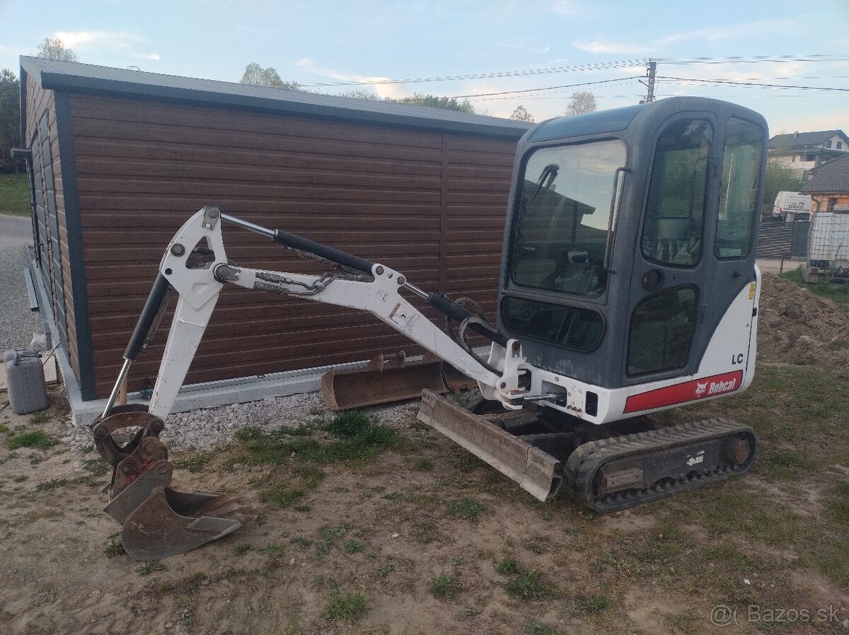 Bobcat