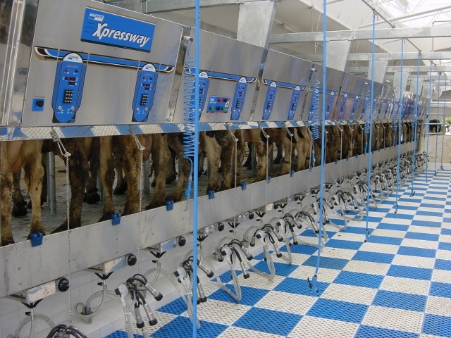POD ONDAVA STROPKOV farma Blednica