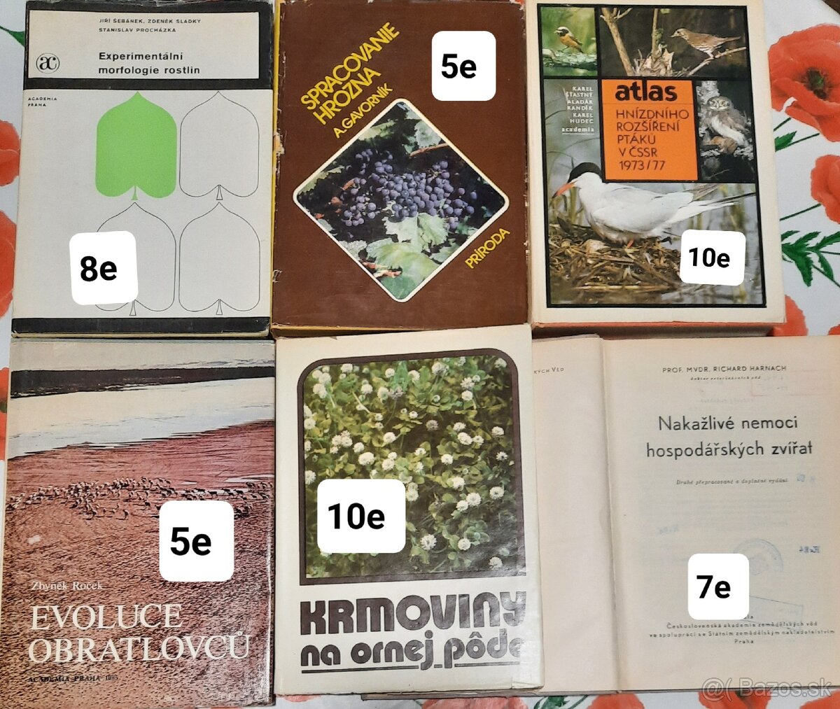 2.Záhrada, rastliny, zvieratá, les, vinohradníctvo,rybárstvo