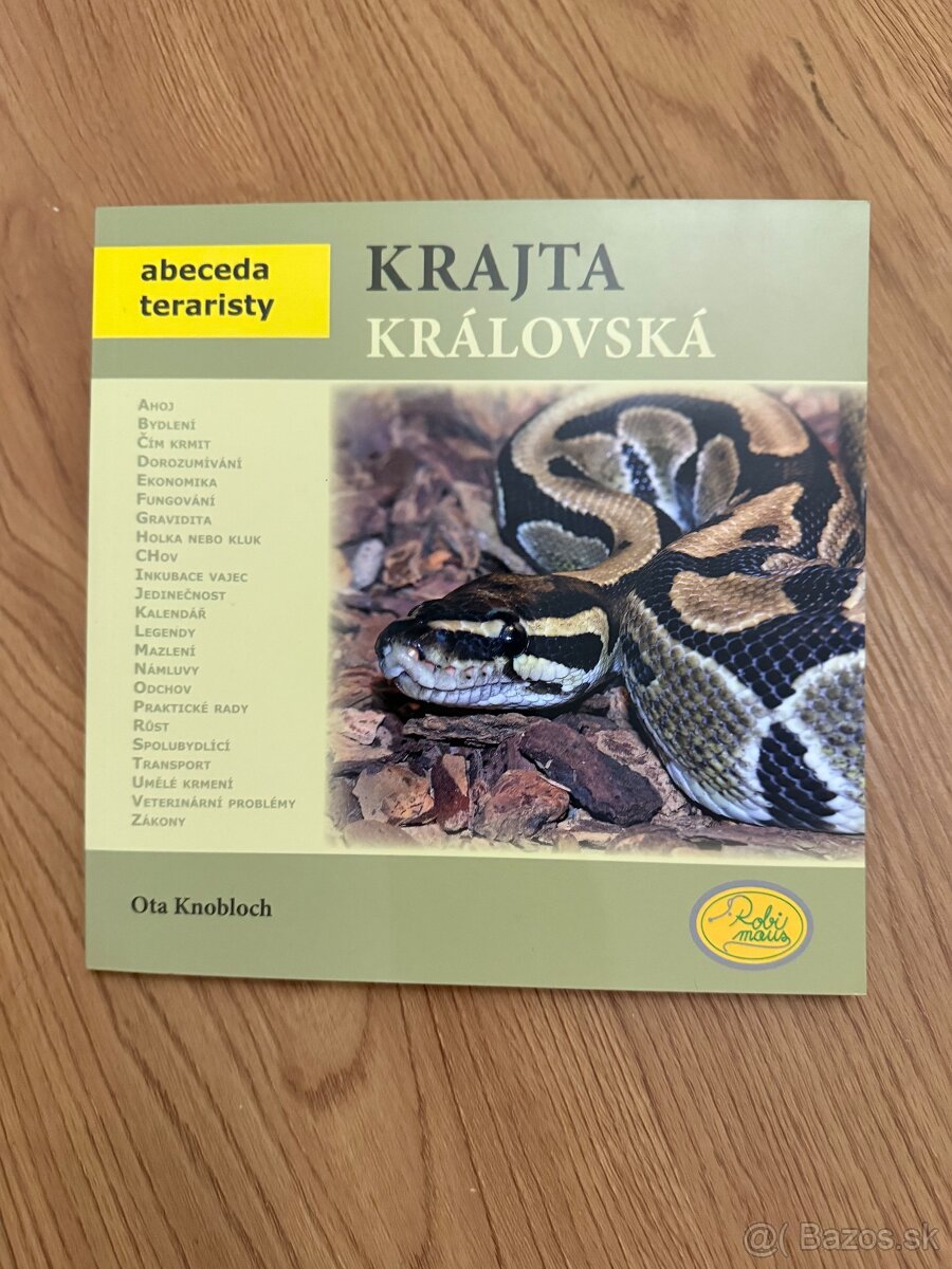 Pytón kráľovský