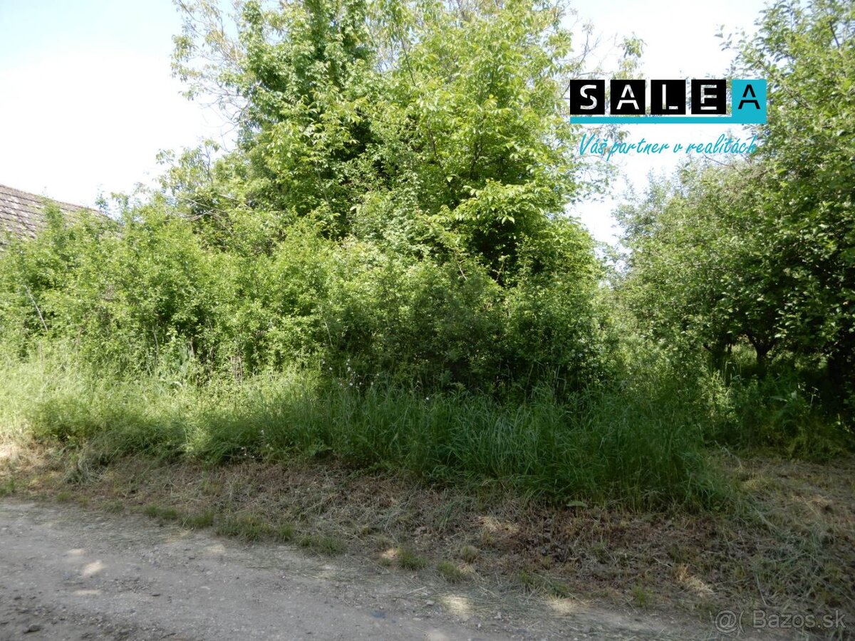 Vinica na predaj, 2500 m2, Farná, okr. Levice