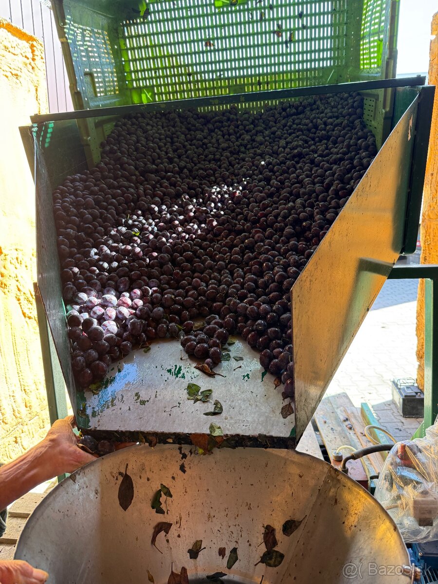 Slivky na kvas 0,45€/kg