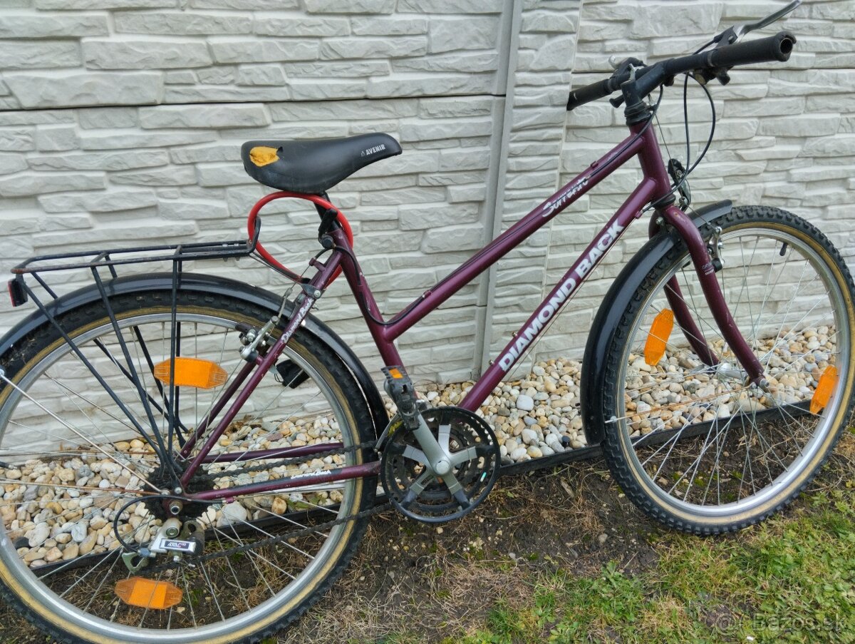 Cestný bicykel s nosičom