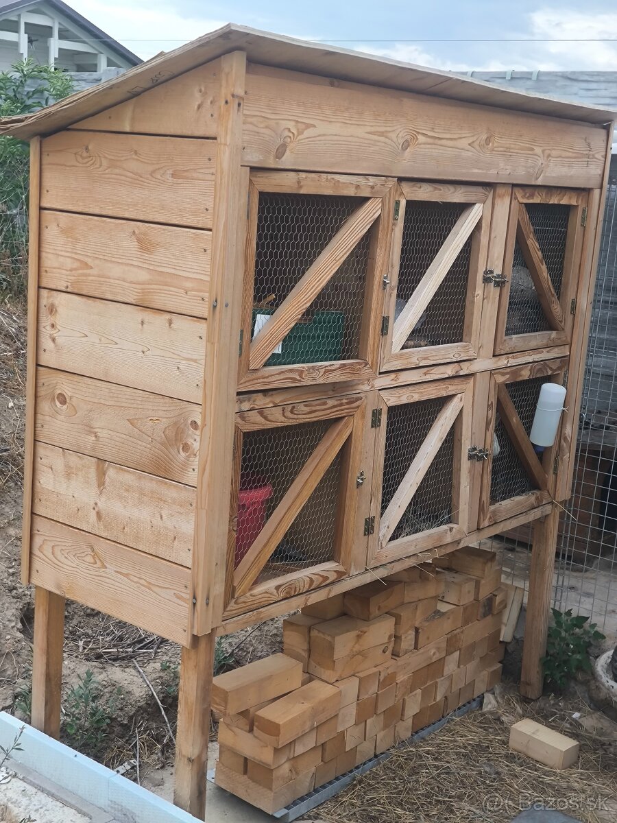 Zajačník