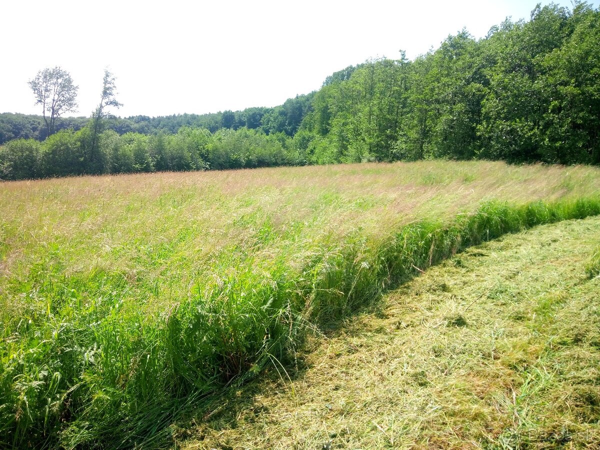 Zadarmo tráva, kosiť, seno