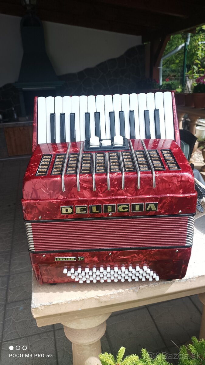 Harmonika -Akordeon.Delícia Junior 60 basová.