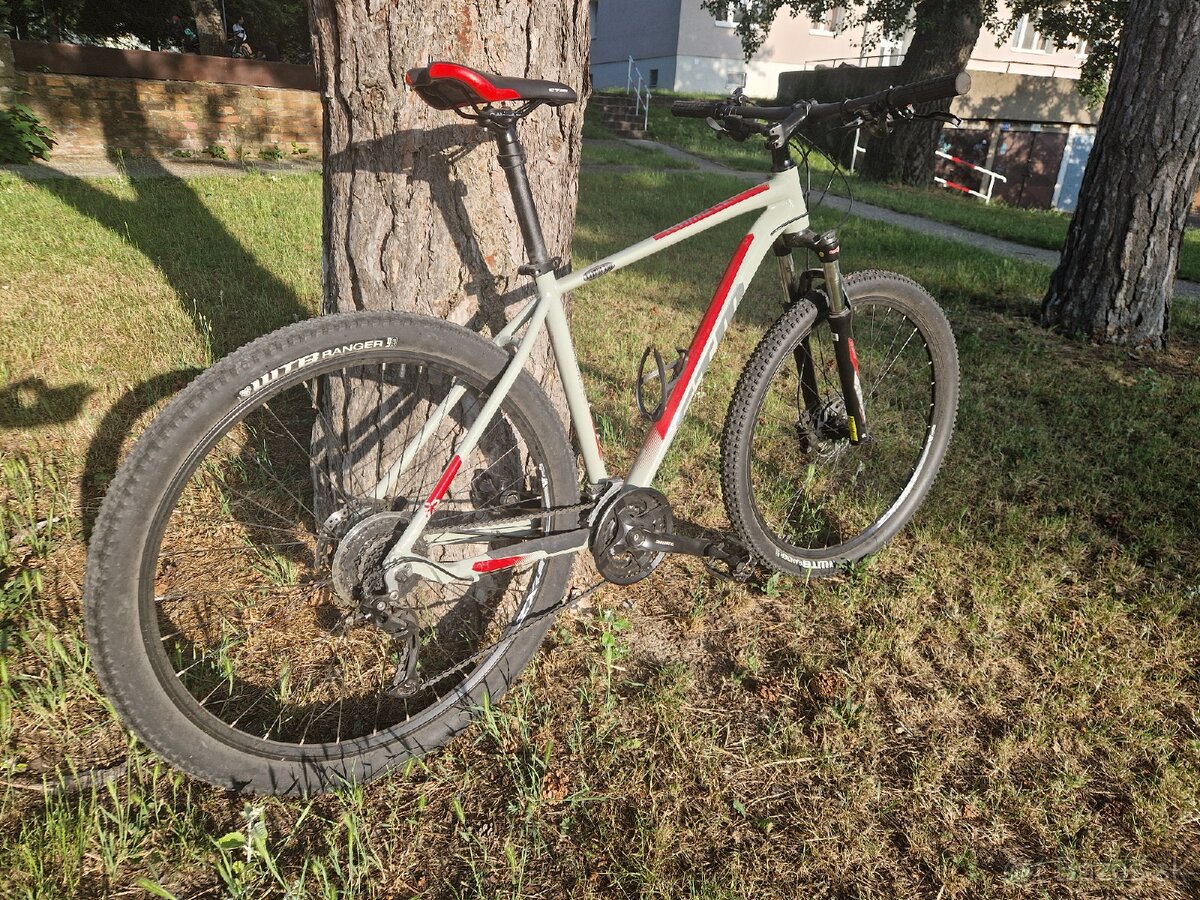CTM Rambler 1.0, 29 palcov