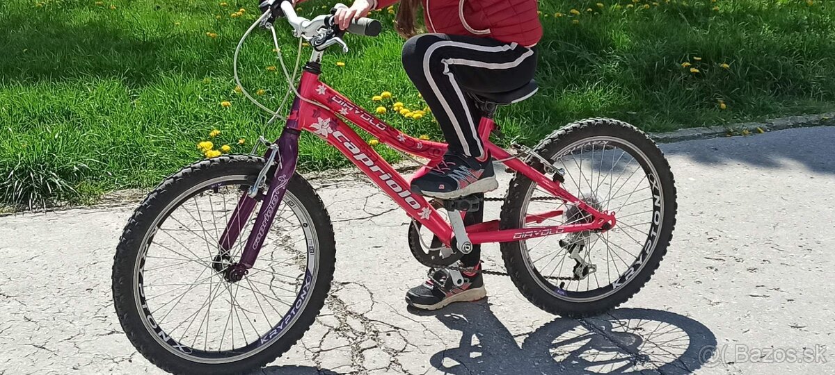 Detský bicykel 20