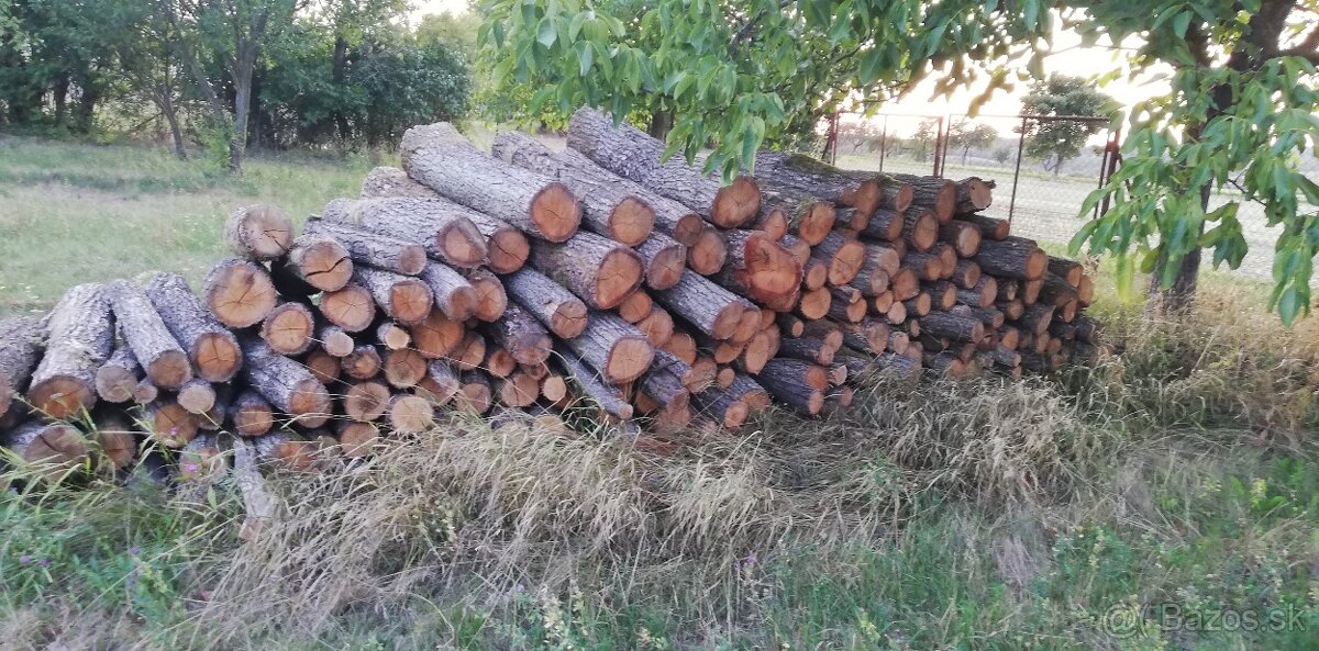 Palivové drevo