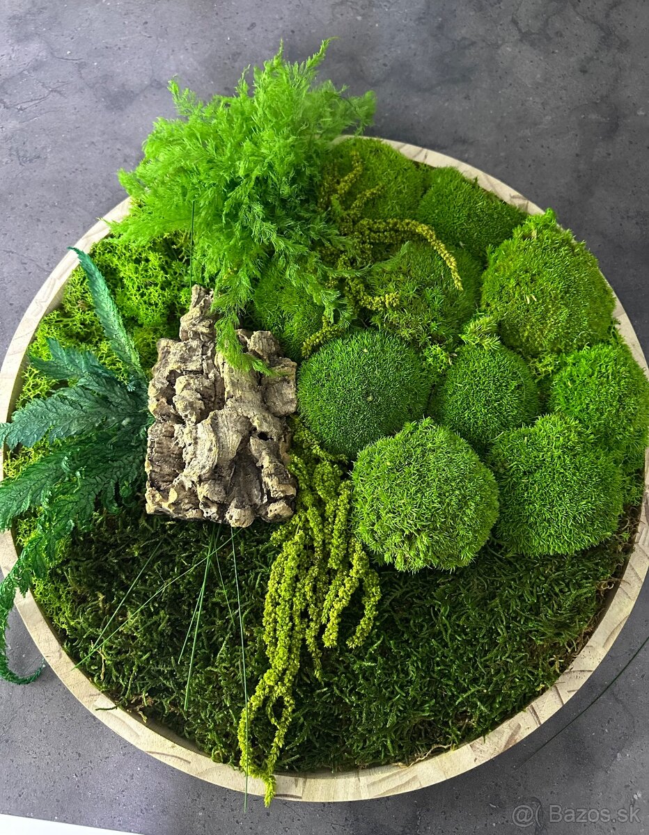 Predám nový machový obraz vhodný ako aj darček