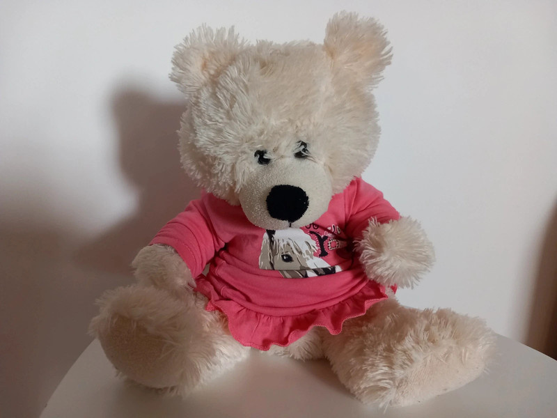 Starší plyšový medvedík 28 cm