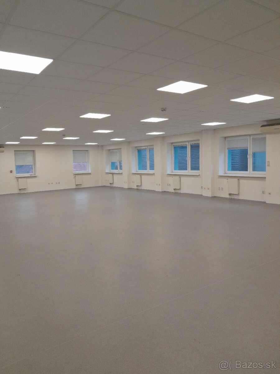 Prenájom priestorov s parkovaním, centrum Nitra, Vodná