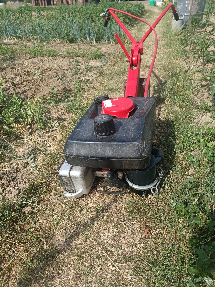 Motor Terra Vari