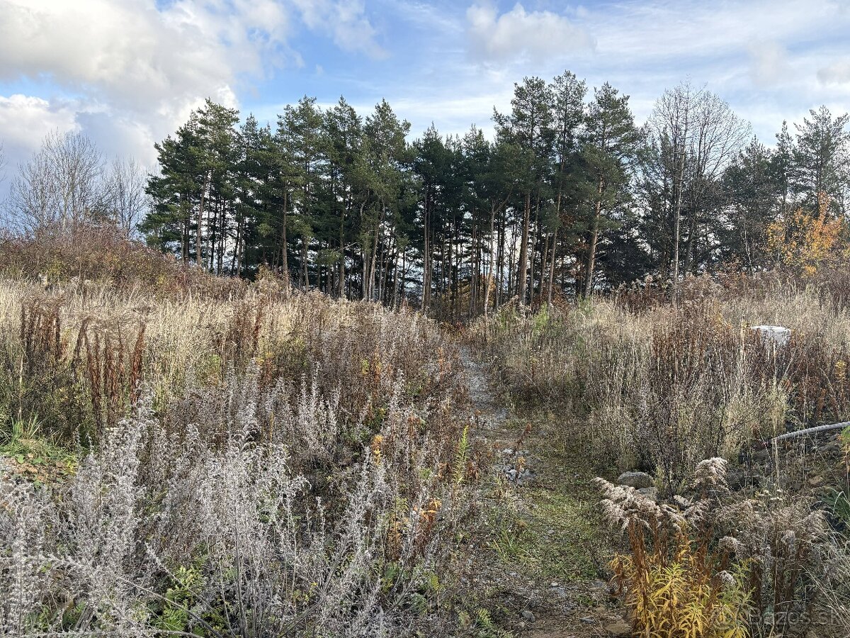🌞 Slnečný pozemok pri lese – maximum súkromia v Badíne