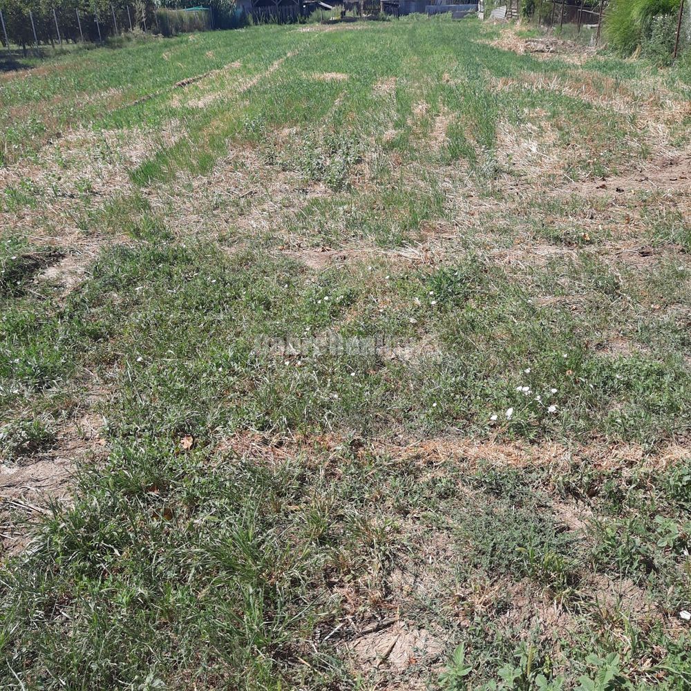 Stavebný pozemok v obci Jasová na predaj