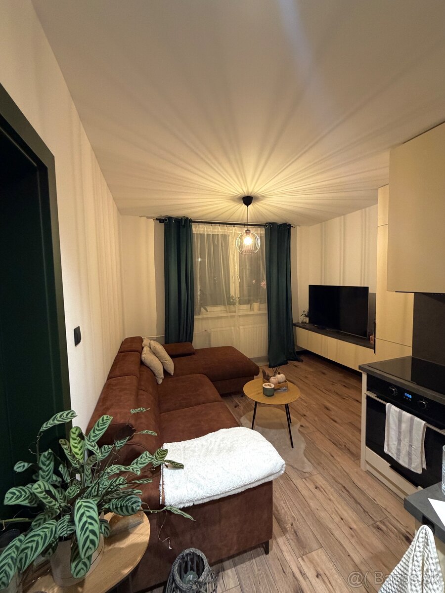 Veľký 1 izbový byt s Balkónom