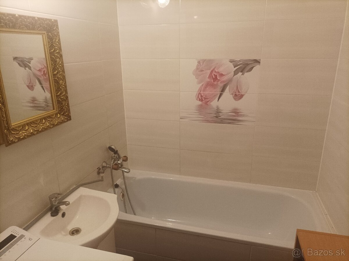 EXKLUZÍVNE 1i zrek.byt HRANICNA RUZINOV