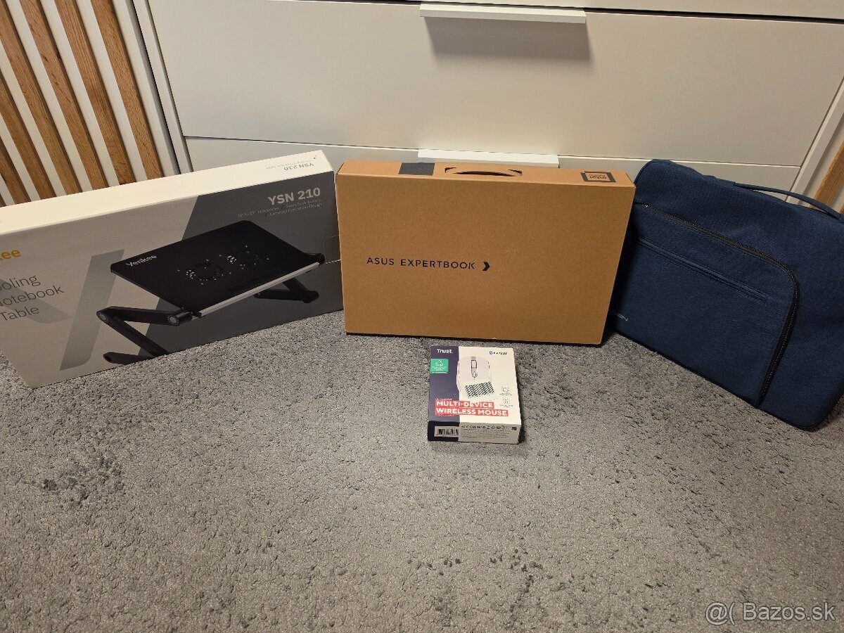 Asus Expertbook