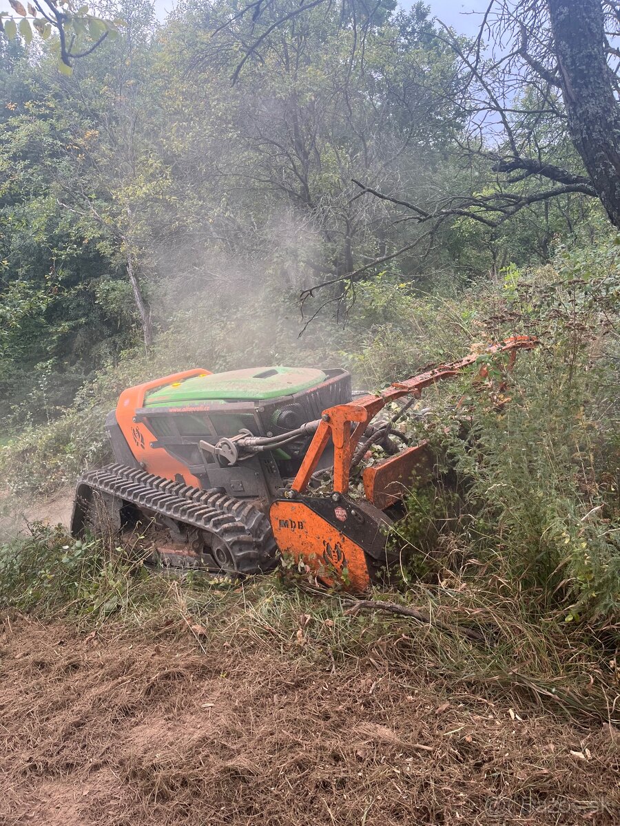 Čistenie pozemkov . Mulčovanie, frezovanie drevin.