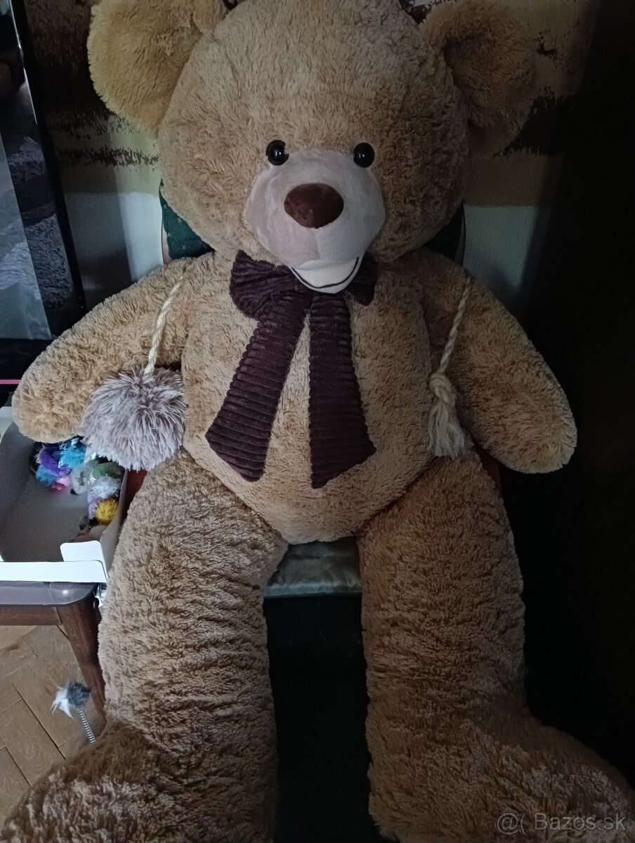 Medveď plyšový