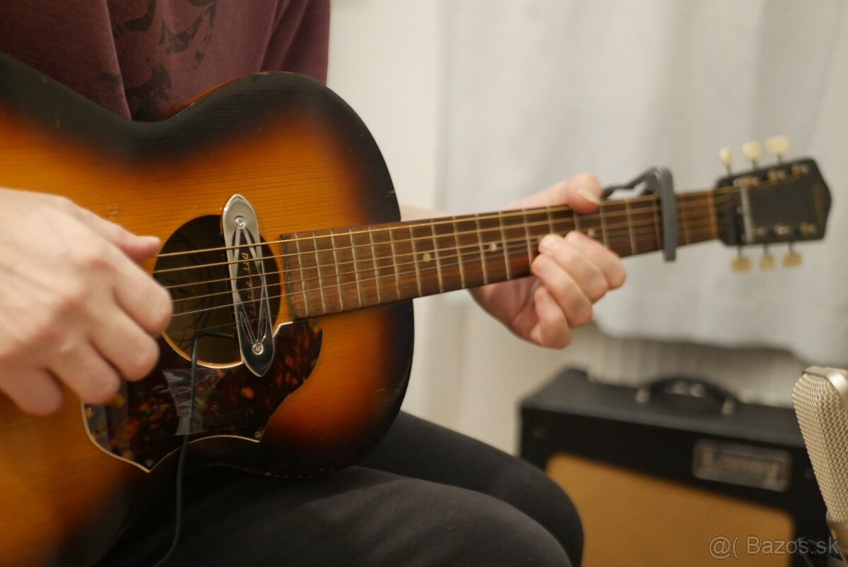 Vyuka gitary akustickej/elektrickej prip. ukulele