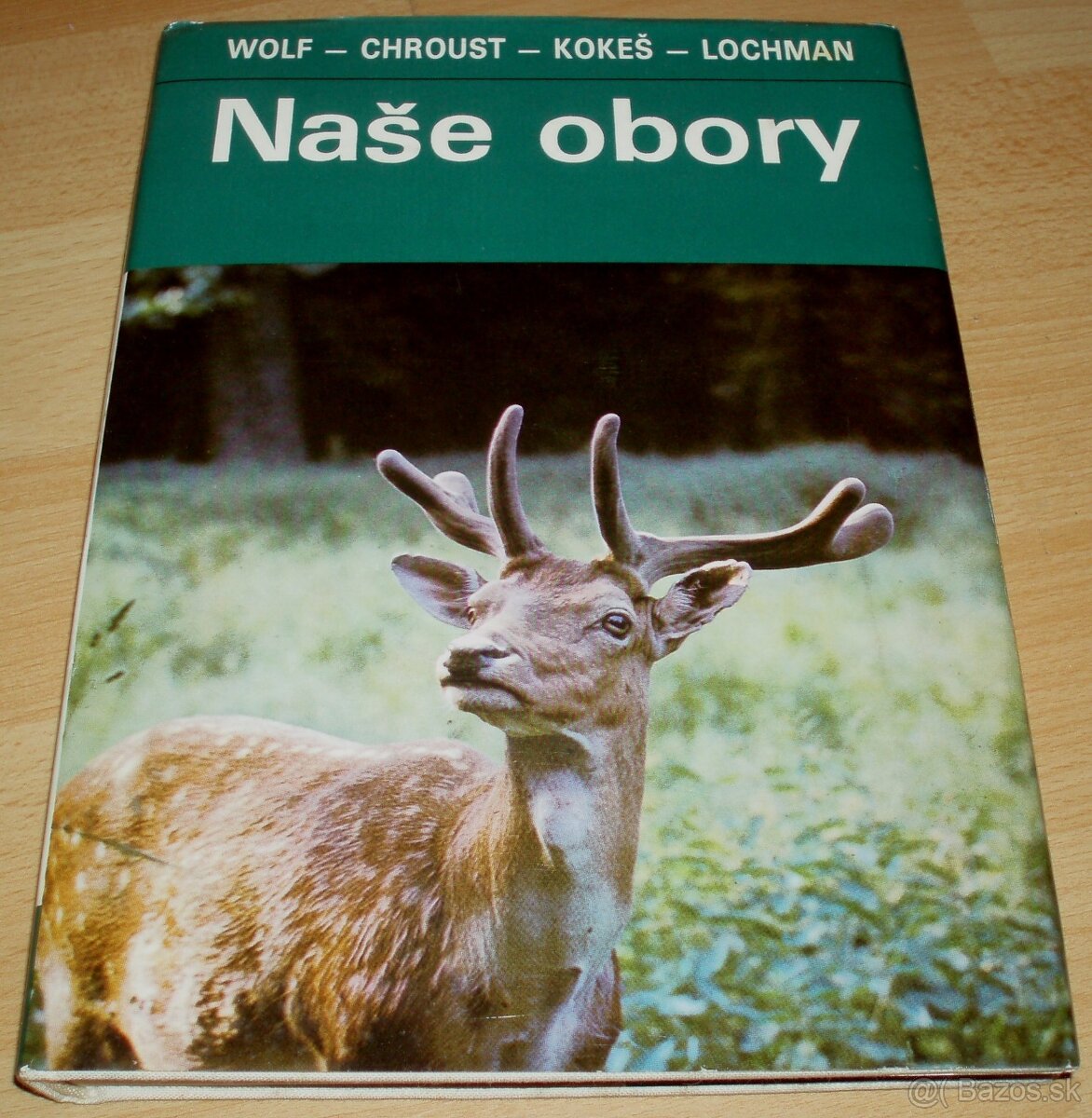 Naše obory
