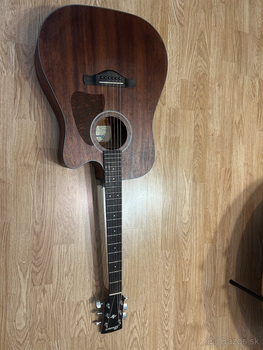 Elektroakustická gitara Ibanez