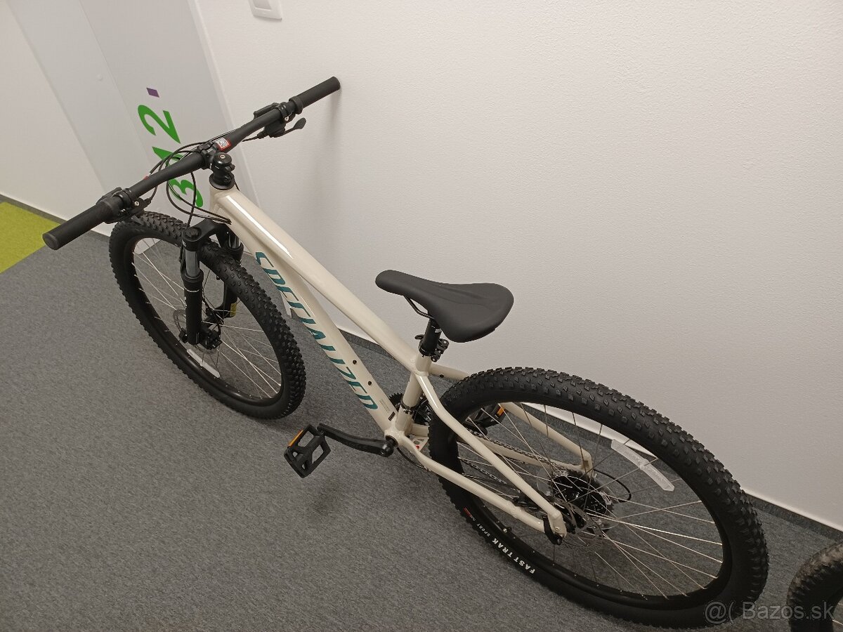 Bicykle Specialized