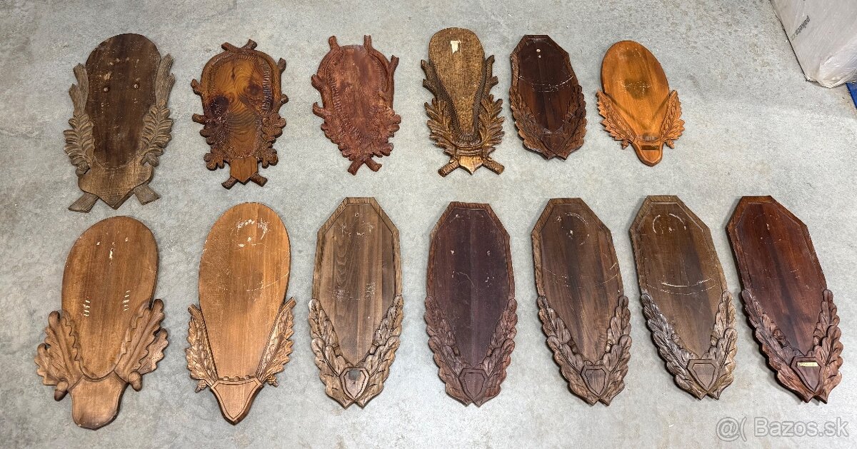 Trofej,parohy,parozie,jelen