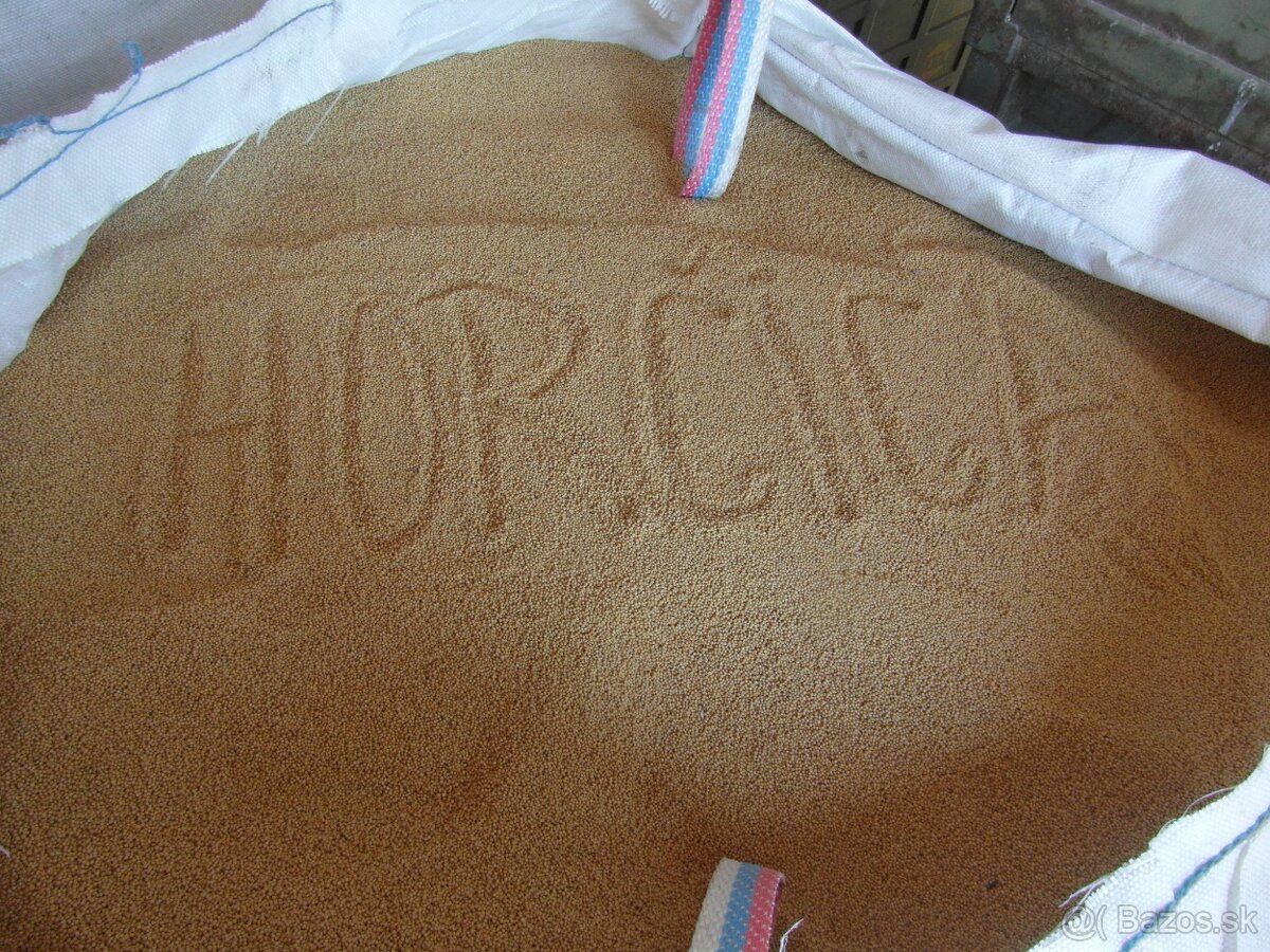 Horčica
