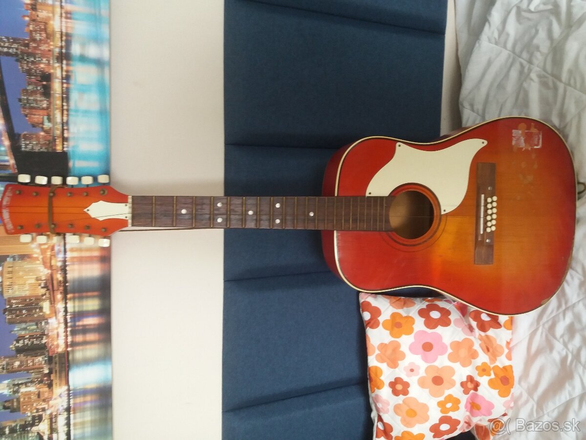 Dvanásťstrunová gitara
