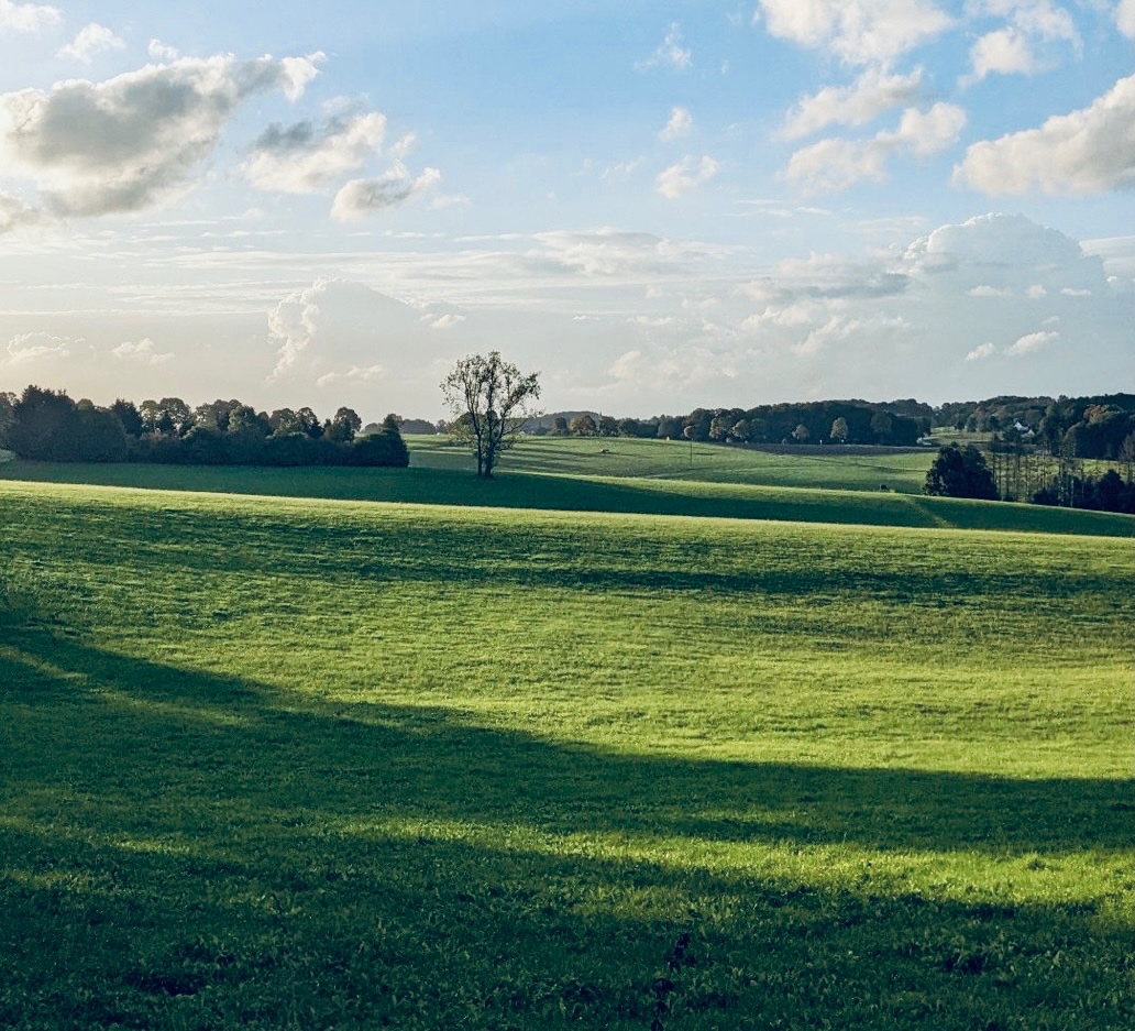 Chľaba – Trvalý trávnatý porast na predaj 1566/23