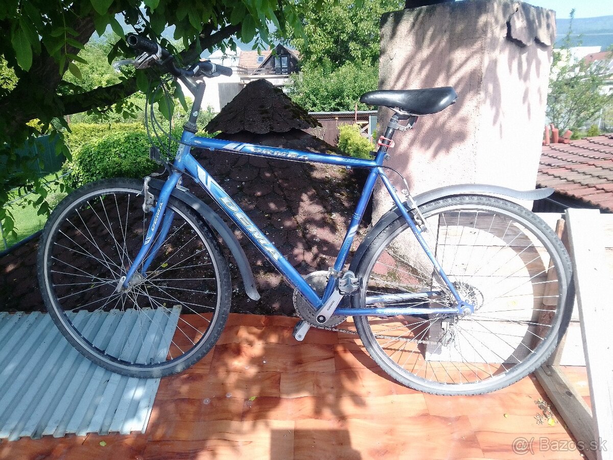 Bicykel pánsky