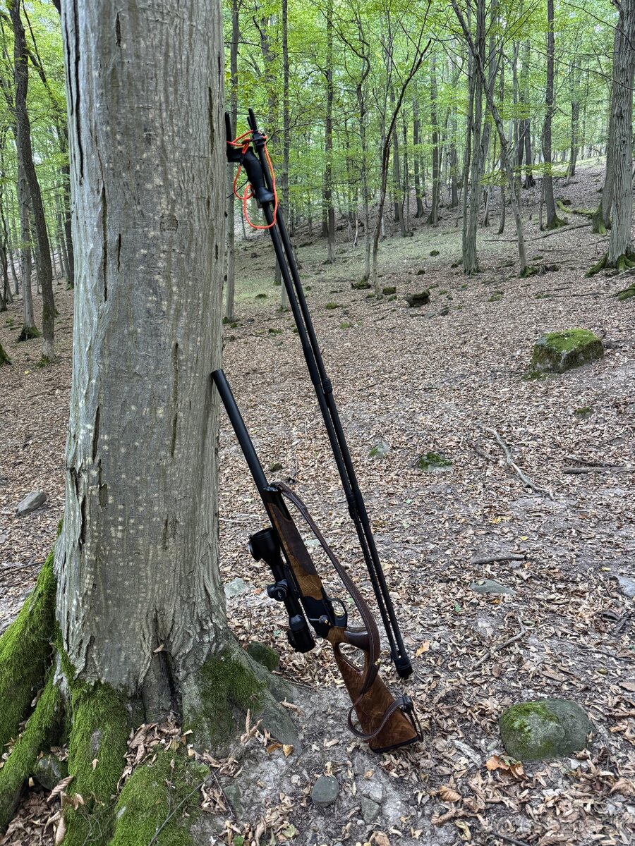 Blaser R8 succes silence