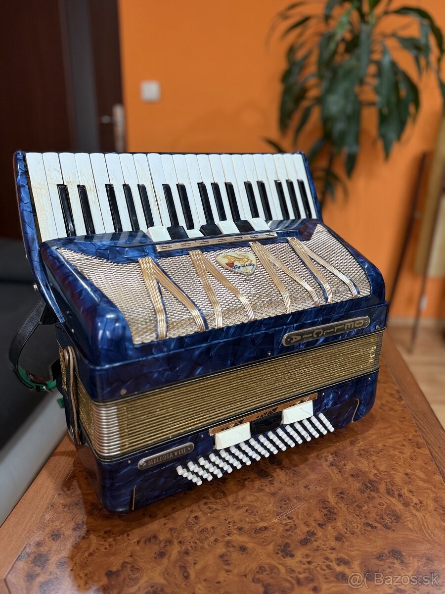 Akordeón Delicia Melodia VIII