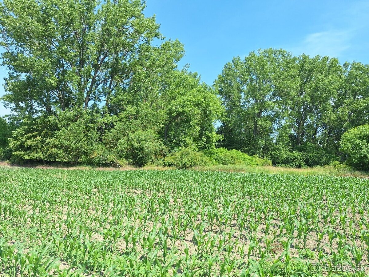 3460m2 pozemok Veľká Paka
