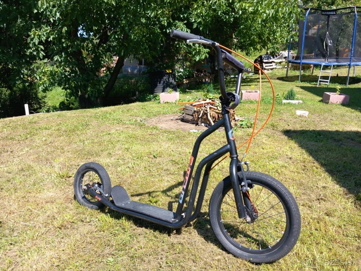 Kolobežka Arcore Shorty