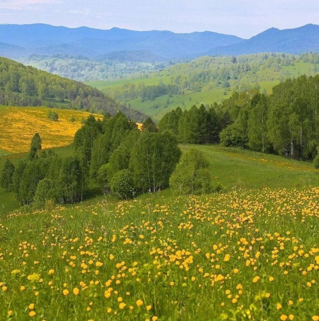 Prenájom, GALANTA