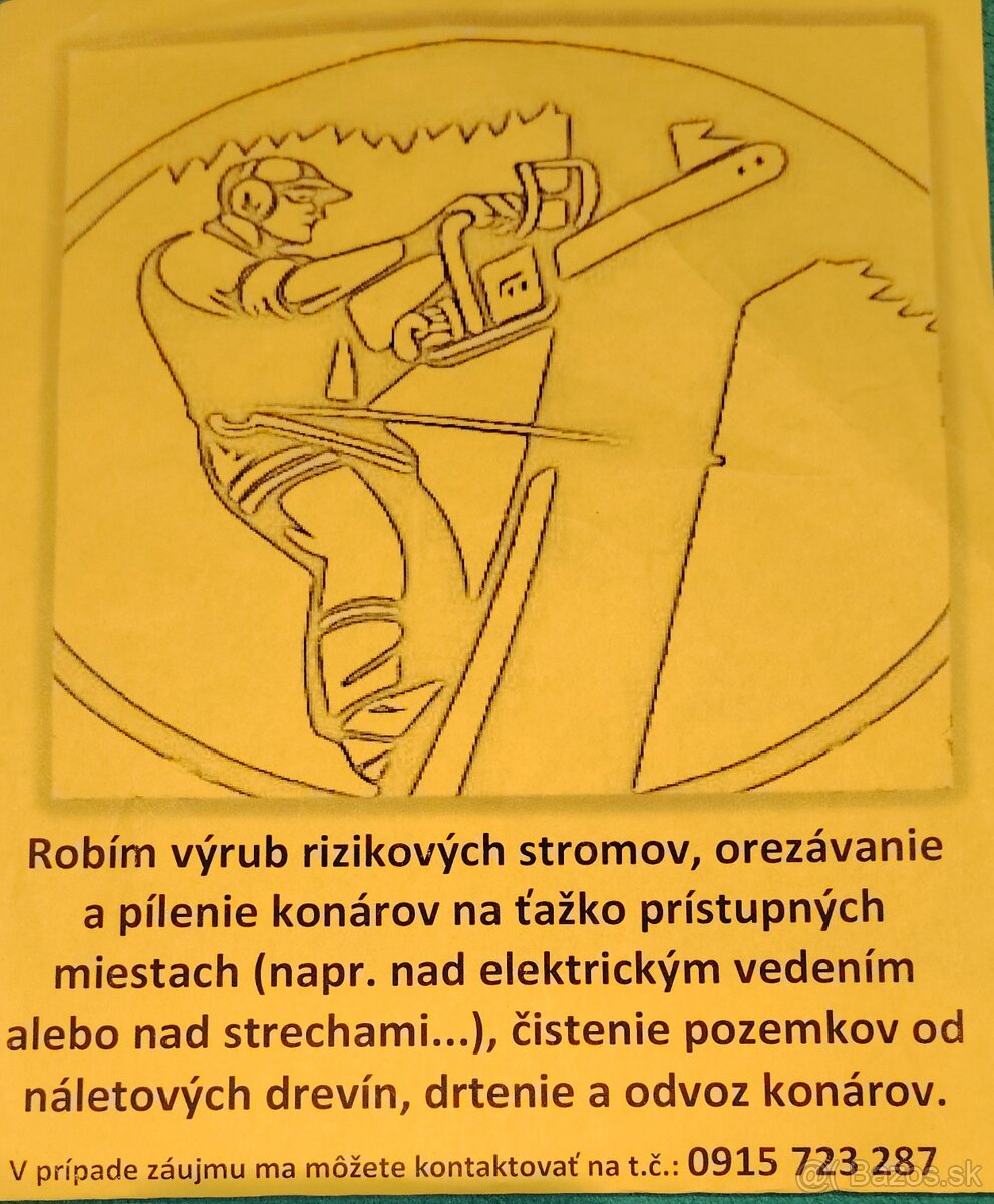 Výrub rizikových stromov, arboristyka