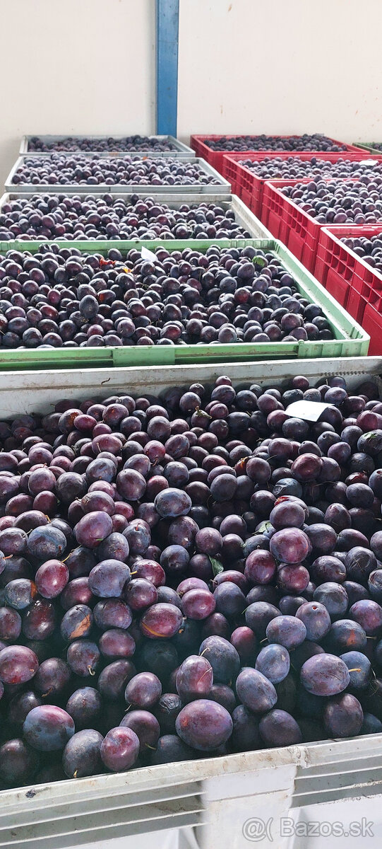 slivky na kvas 0,52 EUR