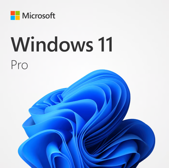 ☑️ Windows 10 / Windows 11 Professional 🔑 DORUČENÍ IHNED