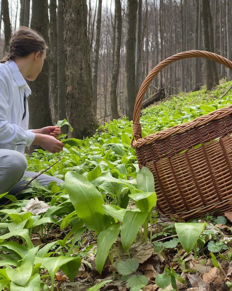 Medvedí cesnak fermentovaný