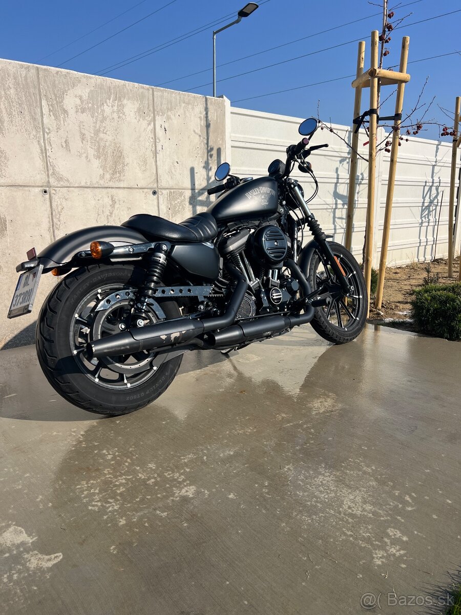 Predam Harley Davidson Iron 883