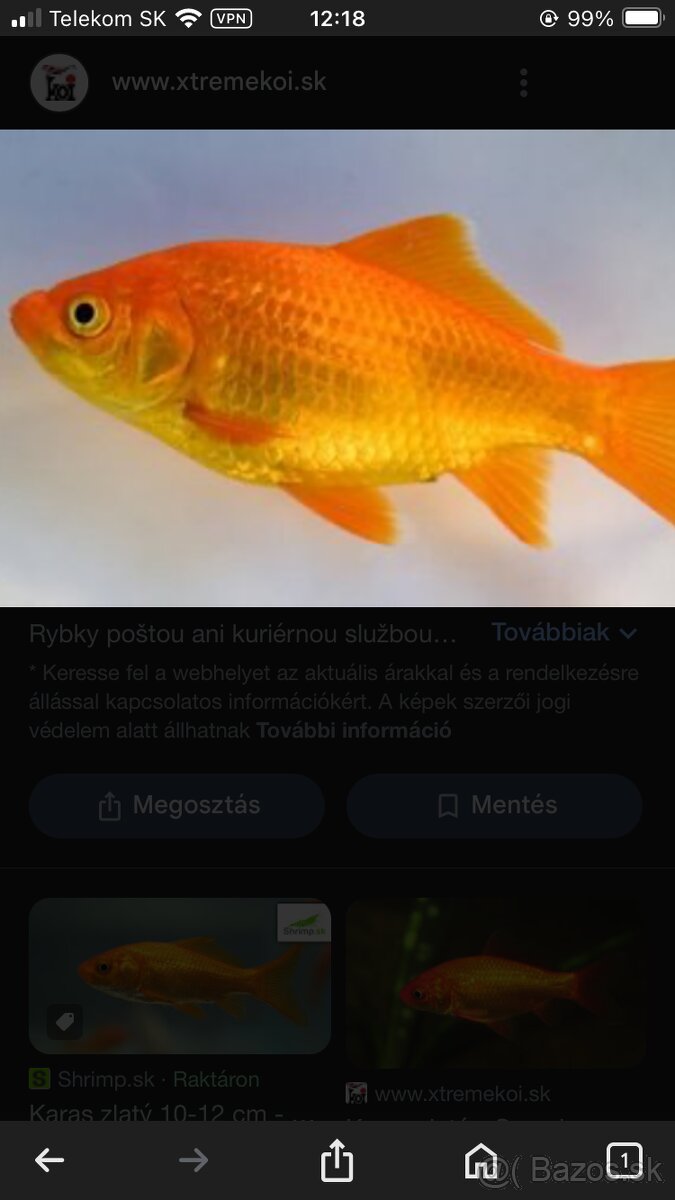 Predam jazierkove rybycky