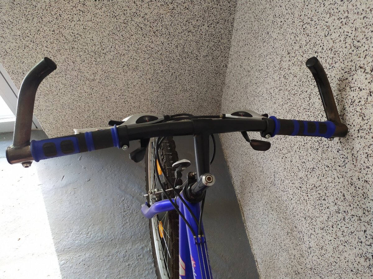 Bicykle