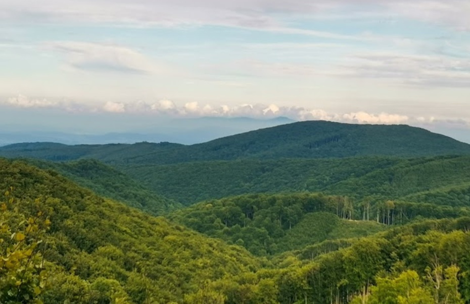 Slanské Vrchy - 7000 m2 LESNÉHO POZEMKU