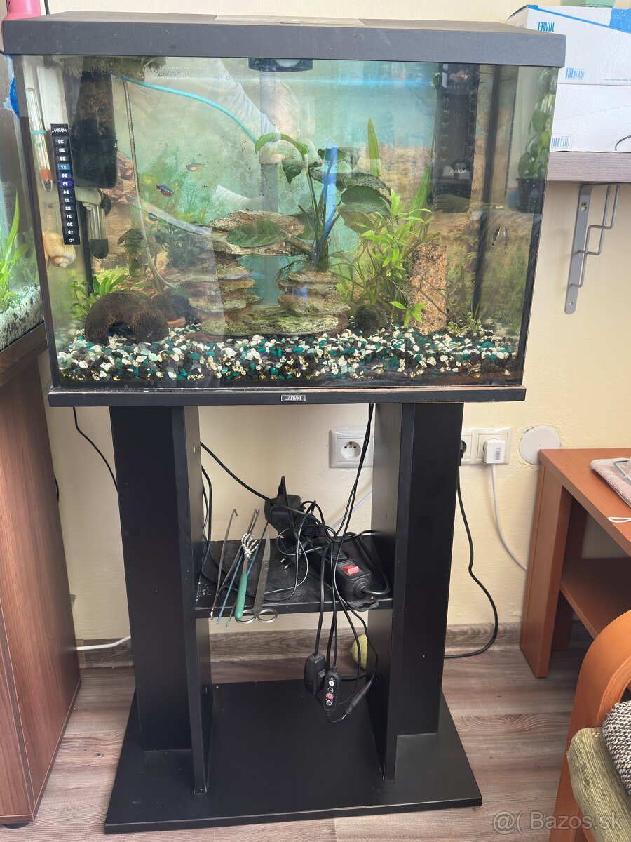 Vybavené akvárium  70l + podstavec