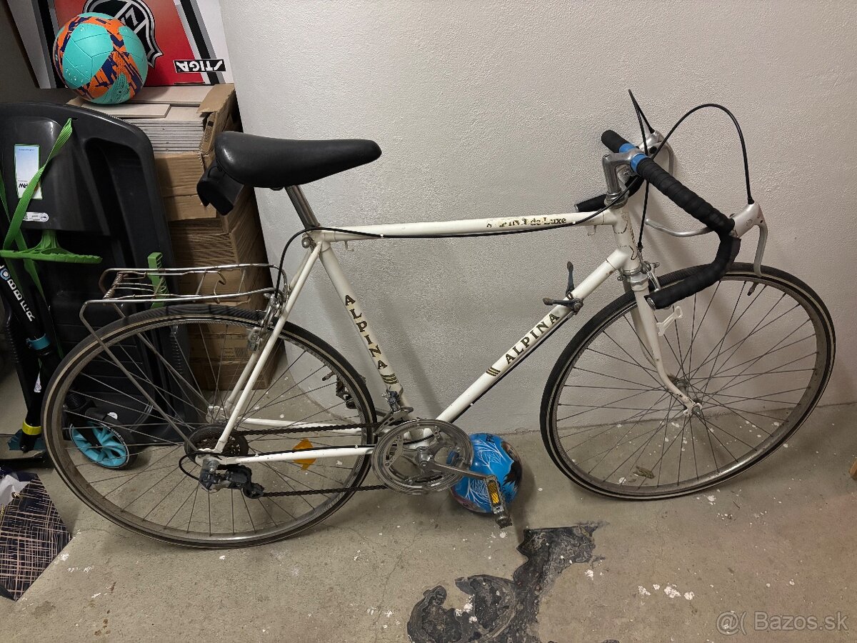 Bicykel ALPINA