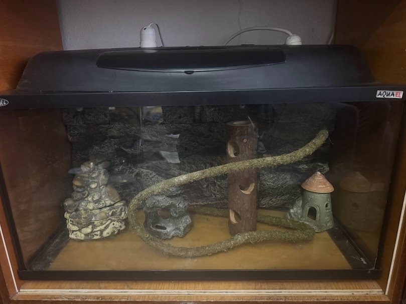 Terarium, sklo, akvárium