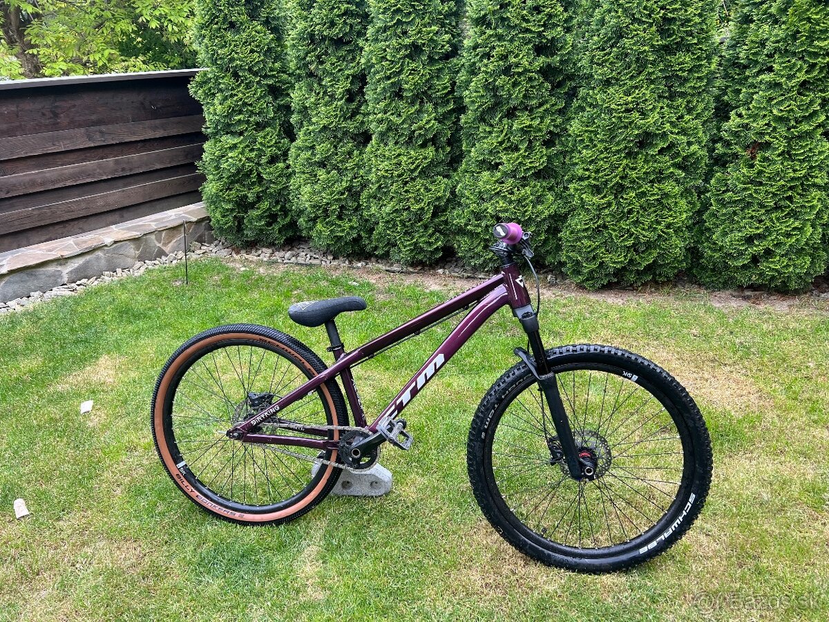 CTM Dirtking Xpert 2022